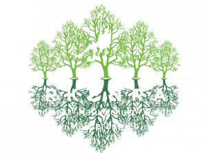 HERKENRATH Baumdienst Logo